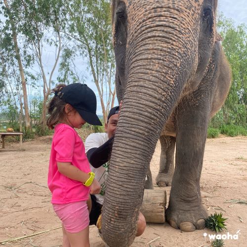 Alex con elefante